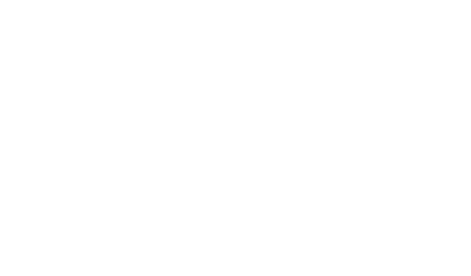DEXAIM DMA